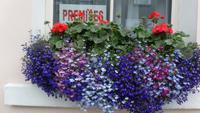 Impressionen Irland &ndash; &copy; Petra Sauer (Eberhardt TRAVEL)