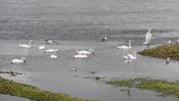 Galway &ndash; &copy; Petra Sauer (Eberhardt TRAVEL)