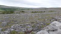 Burren &ndash; &copy; Petra Sauer (Eberhardt TRAVEL)