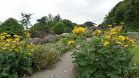 Bunratty Folk Park &ndash; &copy; Petra Sauer (Eberhardt TRAVEL)