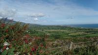 Dingle &ndash; &copy; Petra Sauer (Eberhardt TRAVEL)