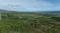 Dingle &ndash; &copy; Petra Sauer (Eberhardt TRAVEL)