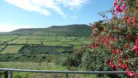 Dingle &ndash; &copy; Petra Sauer (Eberhardt TRAVEL)