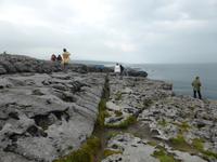 095-Burren_Derreen &ndash; &copy; Dirk Schlosser (Eberhardt TRAVEL)