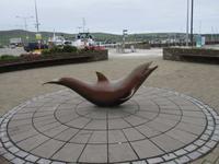 Fungi in Dingle &ndash; &copy; Peter Rudolph (Eberhardt TRAVEL)