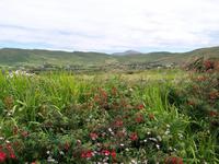 Dingle- Bootsfahrt &ndash; &copy; Dirk Schlosser (Eberhardt TRAVEL)