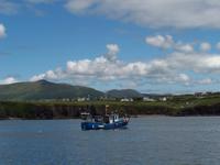 Dingle- Bootsfahrt &ndash; &copy; Dirk Schlosser (Eberhardt TRAVEL)