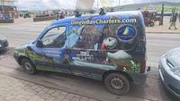 Das kann man alles sehen auf Dingle &ndash; &copy; Stefan Jahnke (Eberhardt TRAVEL)