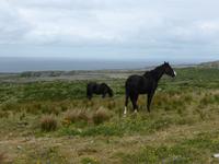 074-Burren-Wanderung &ndash; &copy; Dirk Schlosser (Eberhardt TRAVEL)