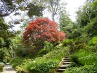 Im Glenveagh Nationalpark &ndash; &copy; Ute (Fairy) Langjahr (Eberhardt TRAVEL)
