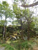 Im Glenveagh Nationalpark &ndash; &copy; Ute (Fairy) Langjahr (Eberhardt TRAVEL)
