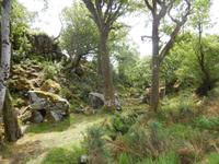 Im Glenveagh Nationalpark &ndash; &copy; Ute (Fairy) Langjahr (Eberhardt TRAVEL)