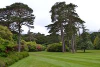 Muckross Park &ndash; &copy; Andreas Wolfsteller (Eberhardt TRAVEL)
