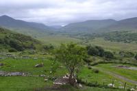 Kissane Sheep Farm &ndash; &copy; Andreas Wolfsteller (Eberhardt TRAVEL)