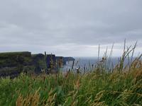 Cliffs of Moher &ndash; &copy; Wiebke Lücker (Eberhardt TRAVEL)