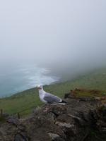 Dingle &ndash; &copy; Wiebke Lücker (Eberhardt TRAVEL)