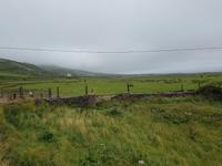 Dingle &ndash; &copy; Wiebke Lücker (Eberhardt TRAVEL)