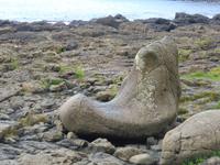 Giant´s Causeway - Stiefel des Riesen &ndash; &copy; Claudia Bernhardt (Eberhardt TRAVEL)