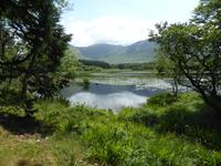 Connemara &ndash; &copy; Claudia Bernhardt (Eberhardt TRAVEL)