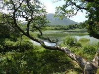 Connemara &ndash; &copy; Claudia Bernhardt (Eberhardt TRAVEL)