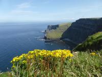 Cliffs of Moher &ndash; &copy; Claudia Bernhardt (Eberhardt TRAVEL)