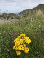 Am Giants Causeway &ndash; &copy; Stefan Jahnke (Eberhardt TRAVEL)