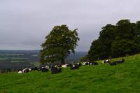 Hill of Slane &ndash; &copy; Andreas Wolfsteller (Eberhardt TRAVEL)