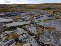 Burren &ndash; &copy; Constanze Hölig (Eberhardt TRAVEL)