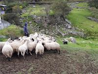 Ring of Kerry &ndash; &copy; Constanze Hölig (Eberhardt TRAVEL)