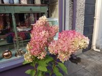 Kilkenny &ndash; &copy; Constanze Hölig (Eberhardt TRAVEL)