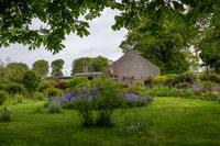 Monasterboice &ndash; &copy; Dirk Schlosser (Eberhardt TRAVEL)