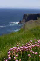 Cliffs of Moher &ndash; &copy; Dirk Schlosser (Eberhardt TRAVEL)