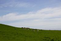Cliffs of Moher &ndash; &copy; Dirk Schlosser (Eberhardt TRAVEL)
