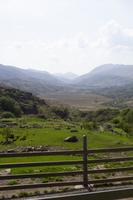 Kissane Schaf-Farm &ndash; &copy; Dirk Schlosser (Eberhardt TRAVEL)
