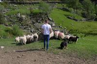 Kissane Schaf-Farm &ndash; &copy; Dirk Schlosser (Eberhardt TRAVEL)