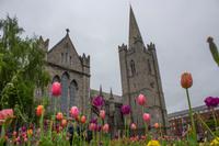 002 – St. Patricks Kathedrale, Dublin &ndash; &copy; Vivien Fiedler (Eberhardt TRAVEL)