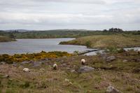 095 – Clew Bay &ndash; &copy; Vivien Fiedler (Eberhardt TRAVEL)