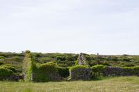 126 – Aran-Insel Inishmore &ndash; &copy; Vivien Fiedler (Eberhardt TRAVEL)