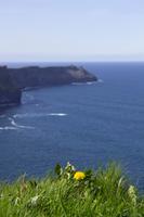 163 – Cliffs of Moher &ndash; &copy; Vivien Fiedler (Eberhardt TRAVEL)