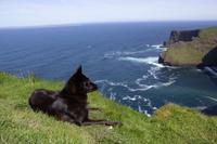 172 – Cliffs of Moher &ndash; &copy; Vivien Fiedler (Eberhardt TRAVEL)