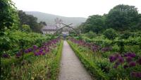 DSC_0216Glenveaghgarden (8) &ndash; &copy; Katrin Kerpa (Eberhardt TRAVEL)