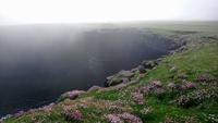 DSC_0219downpatrickhead (4) &ndash; &copy; Katrin Kerpa (Eberhardt TRAVEL)