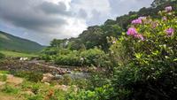 DSC_0340irlandjuni2018 (2) &ndash; &copy; Katrin Kerpa (Eberhardt TRAVEL)