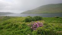 DSC_0340irlandjuni2018 (4) &ndash; &copy; Katrin Kerpa (Eberhardt TRAVEL)