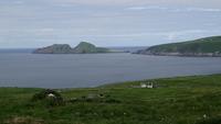 DSC_0624irlandjuni2018 (2) &ndash; &copy; Katrin Kerpa (Eberhardt TRAVEL)