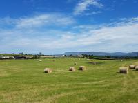 Megalithgräber von Carrowmore &ndash; &copy; Wiebke Lücker (Eberhardt TRAVEL)