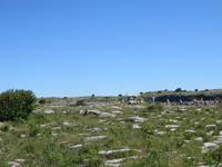 The Burren &ndash; &copy; Wiebke Lücker (Eberhardt TRAVEL)