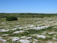 The Burren &ndash; &copy; Wiebke Lücker (Eberhardt TRAVEL)