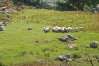 075-Kissanes_Shepfarm &ndash; &copy; Dirk Schlosser (Eberhardt TRAVEL)