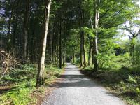 Wanderung im Coole Park